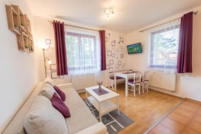 Apartment Riviera 509/4 Lipno Home